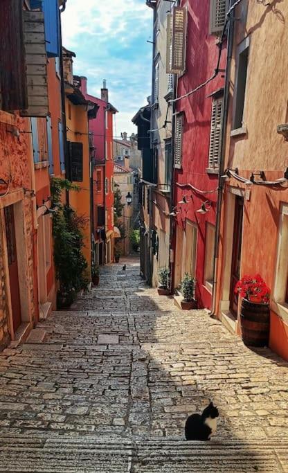 Little Heaven Daire Rovinj Dış mekan fotoğraf