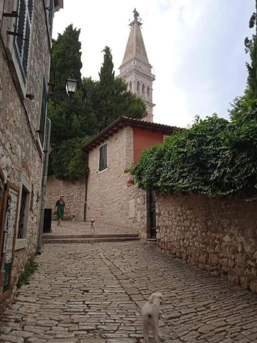 Little Heaven Daire Rovinj Dış mekan fotoğraf